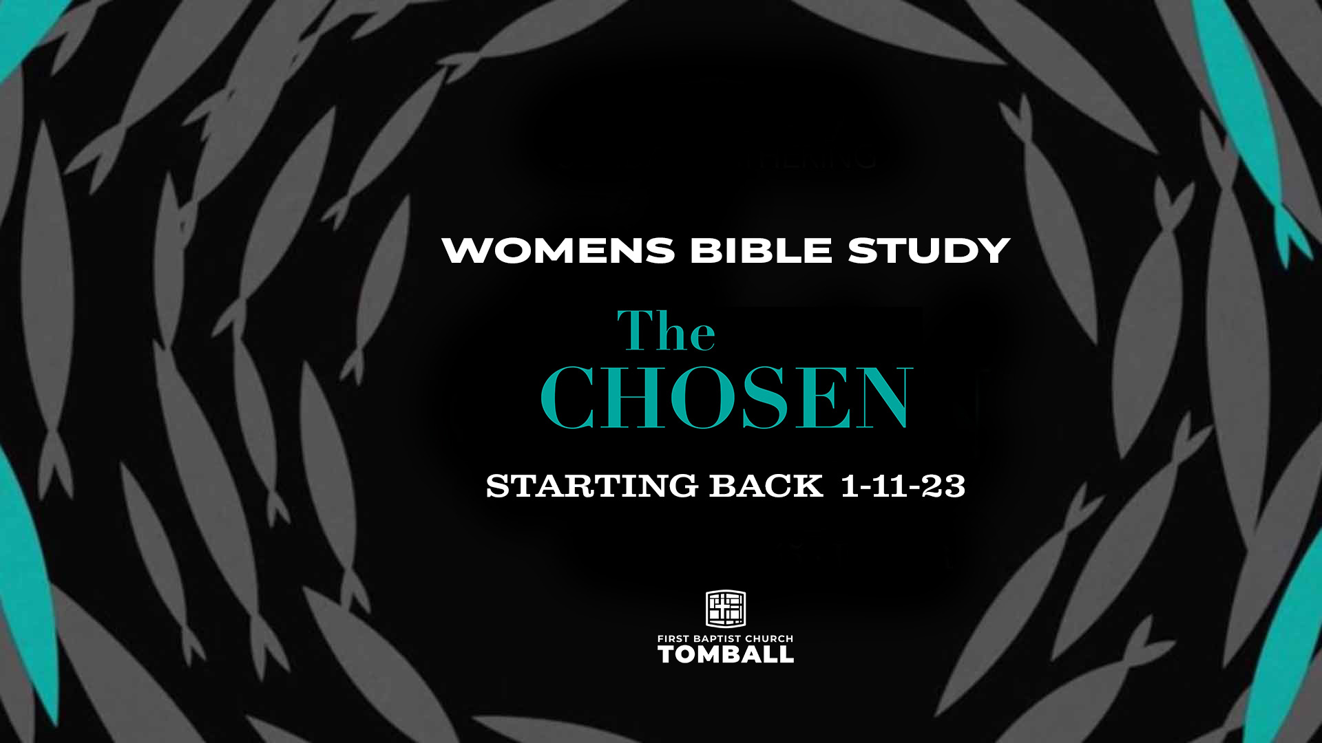 Chosen Womens Bible Study image