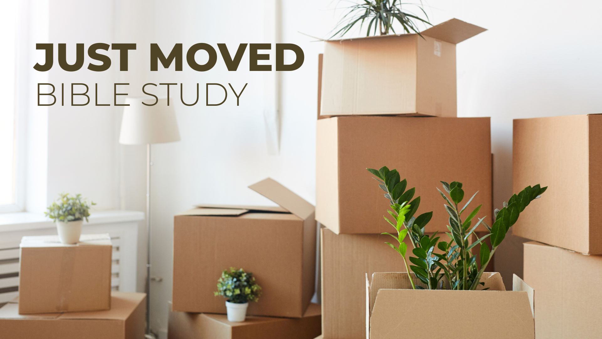 Just Moved Study