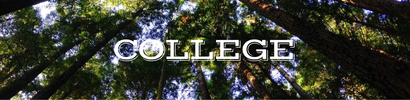 84b9c22e-4357-4159-9d67-618a2c814484