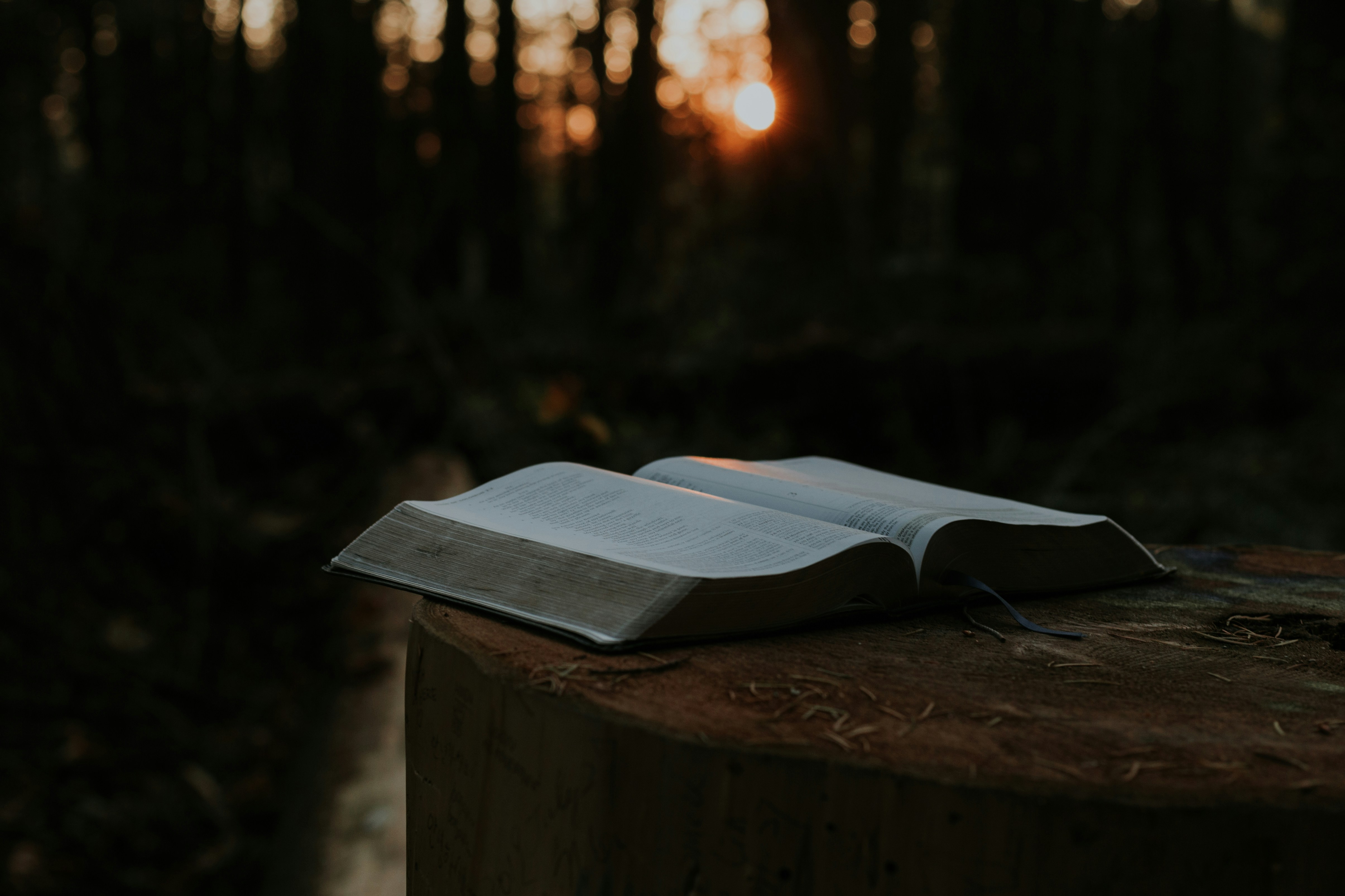 Bible Study