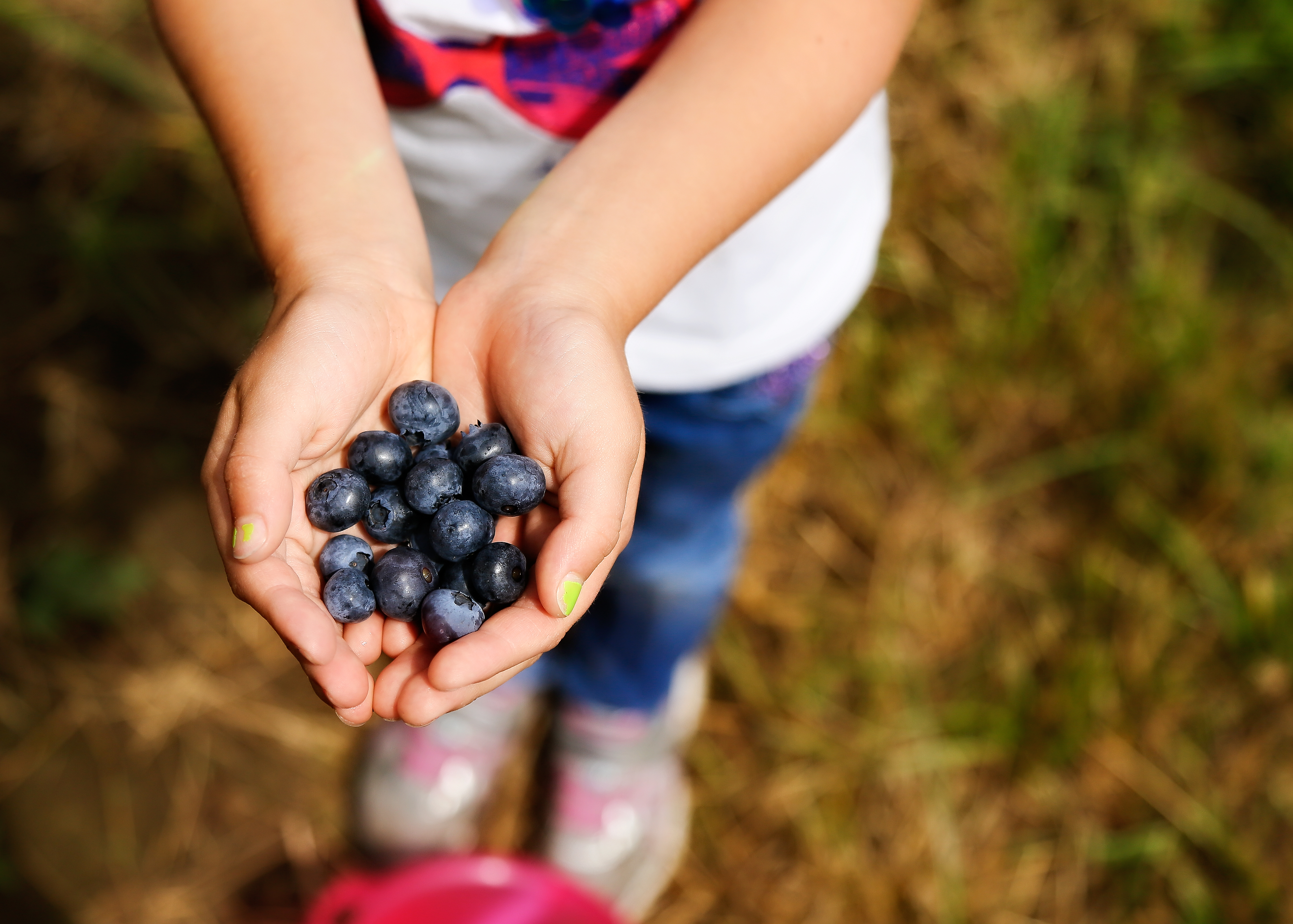 Child with blurberries