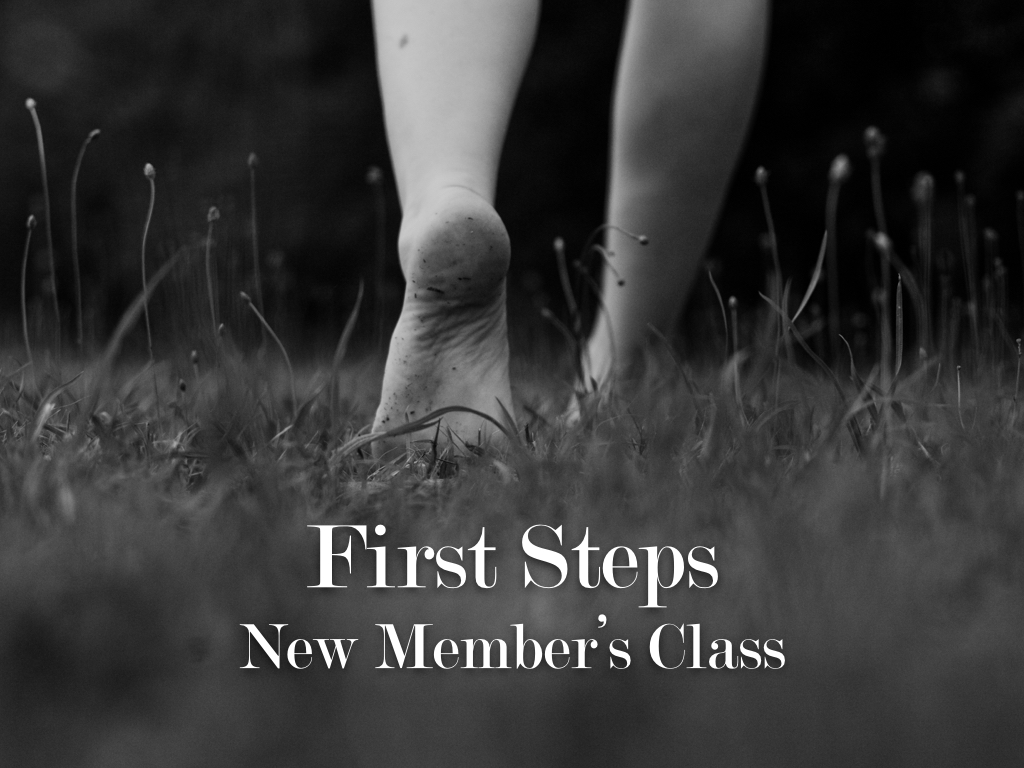 First Steps.001