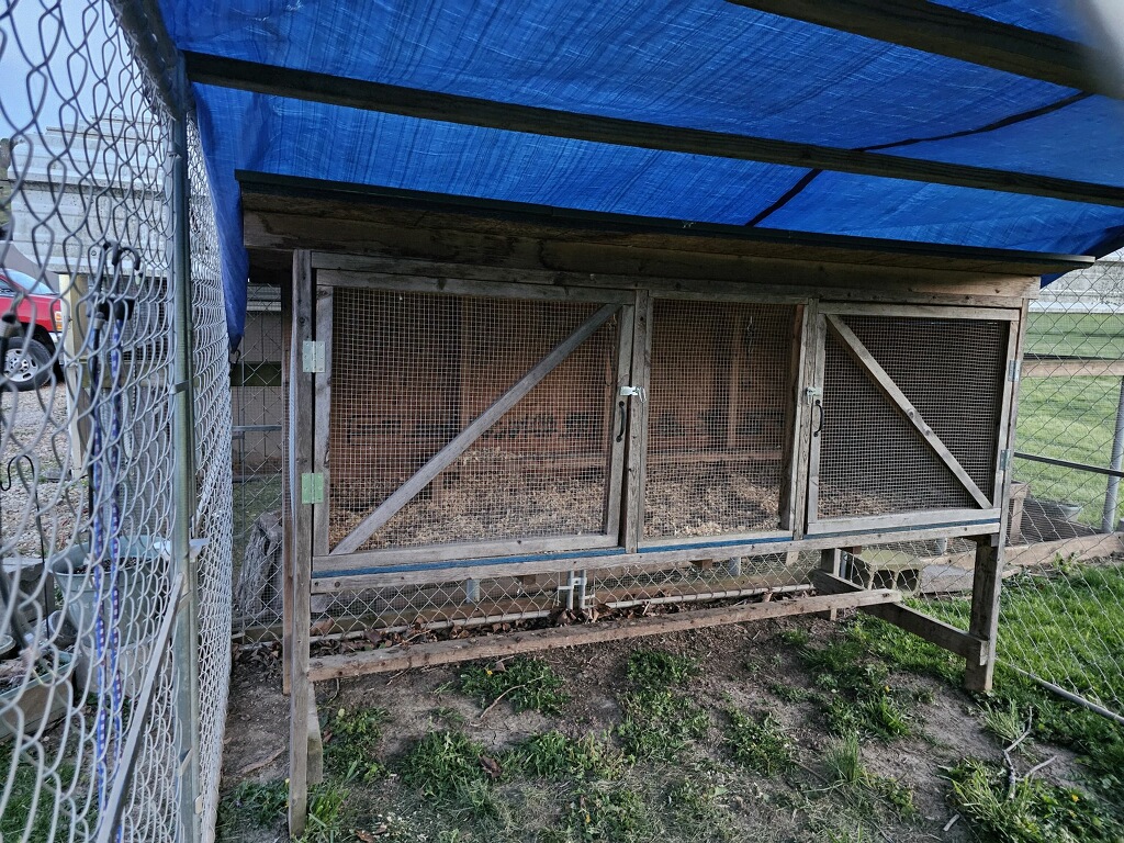 imagejpeg_0 15.JPG