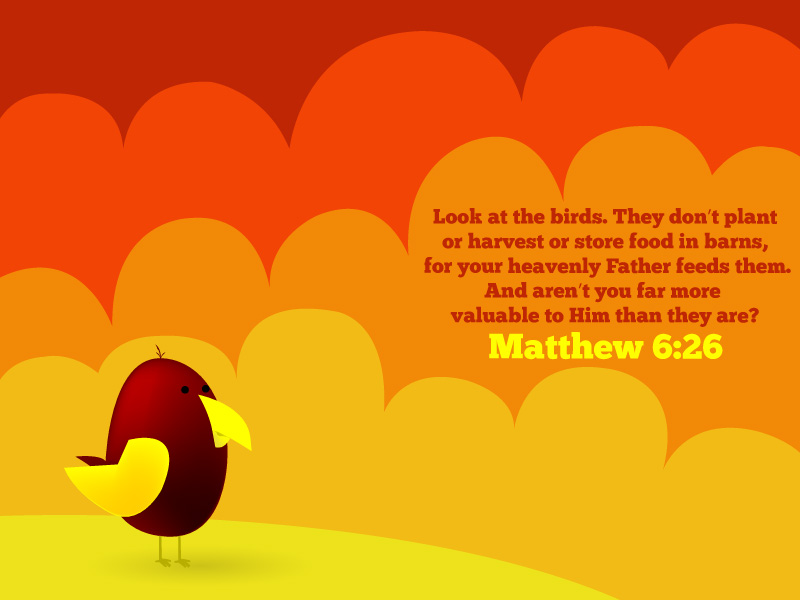 Matthew-6-26