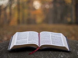 Psalm119-seeking-God
