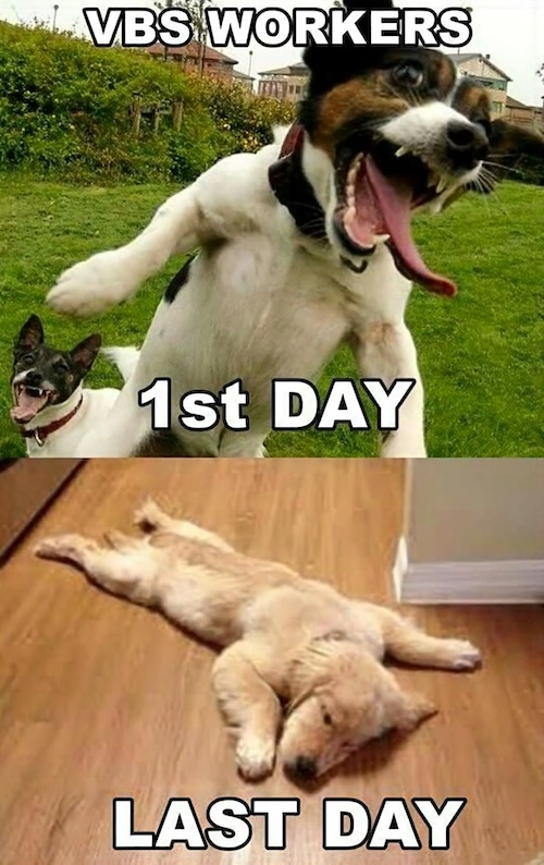 VBSfunny13