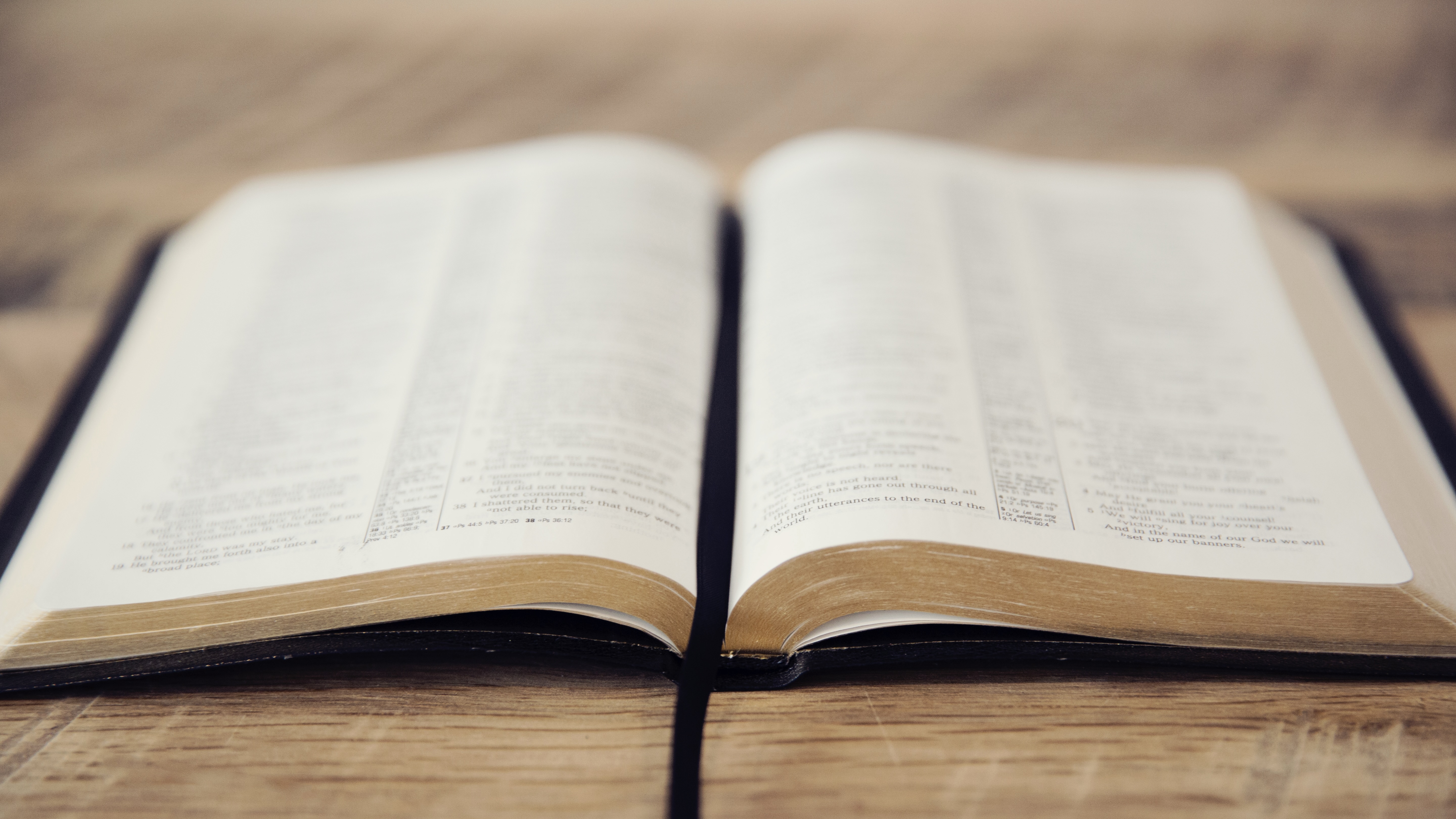 pages_of_an_open_bible-5760x3840