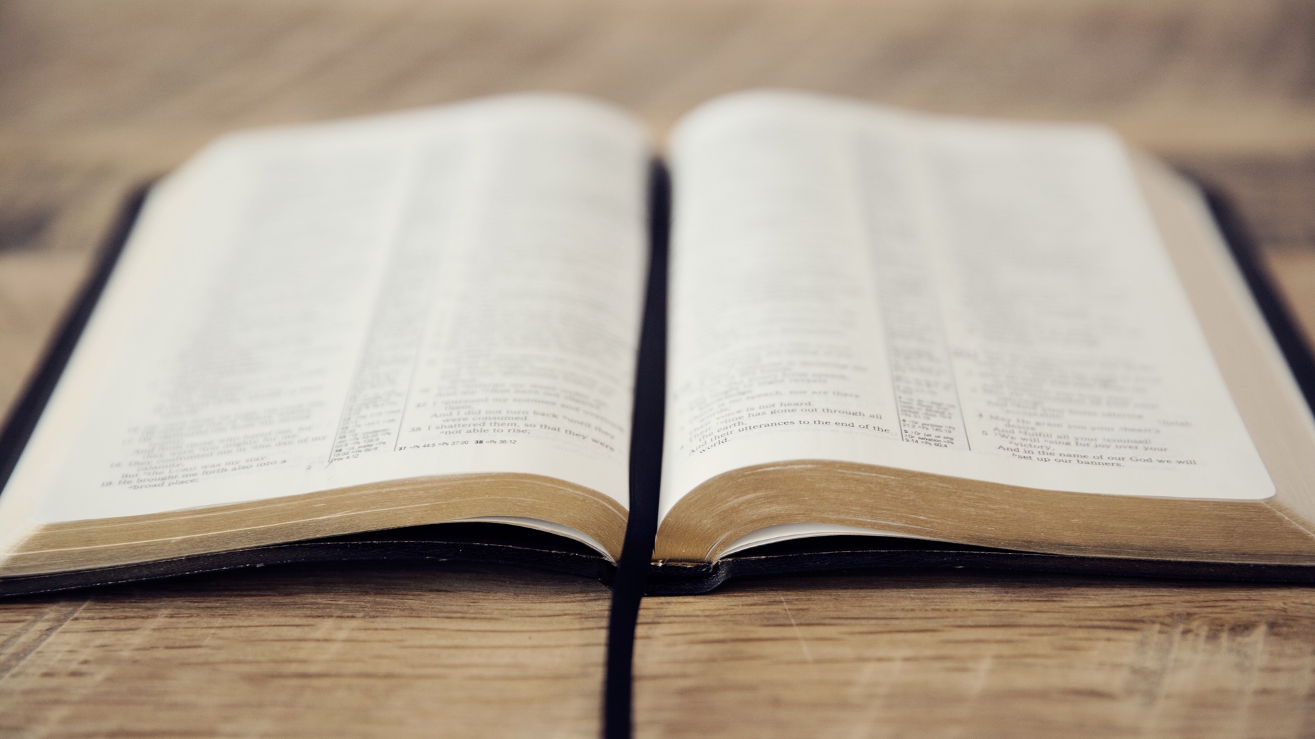 pages_of_an_open_bible-1920x1280
