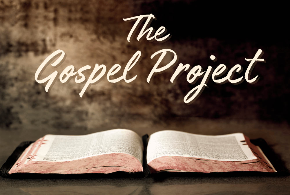 The Gospel Project banner