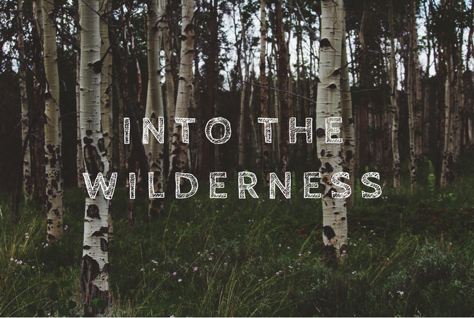 Into the wilderness
