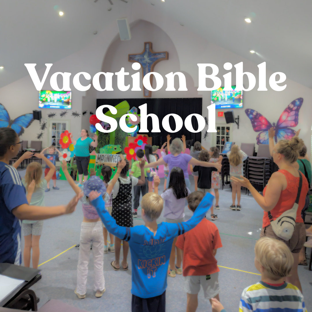 VBS 