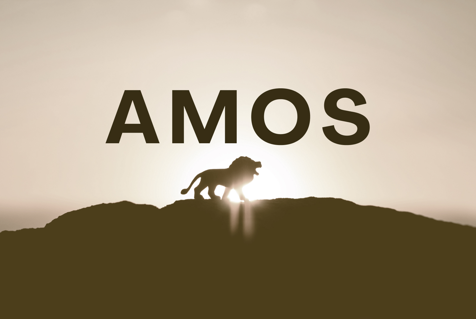Amos series image