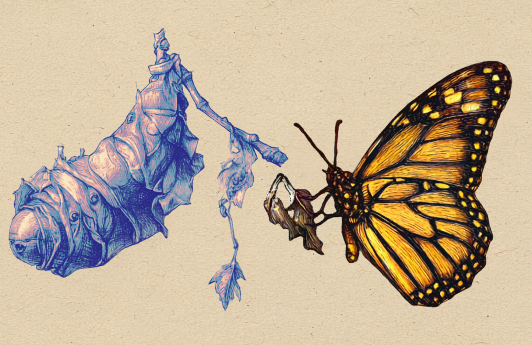 Featured - Transformation SSA