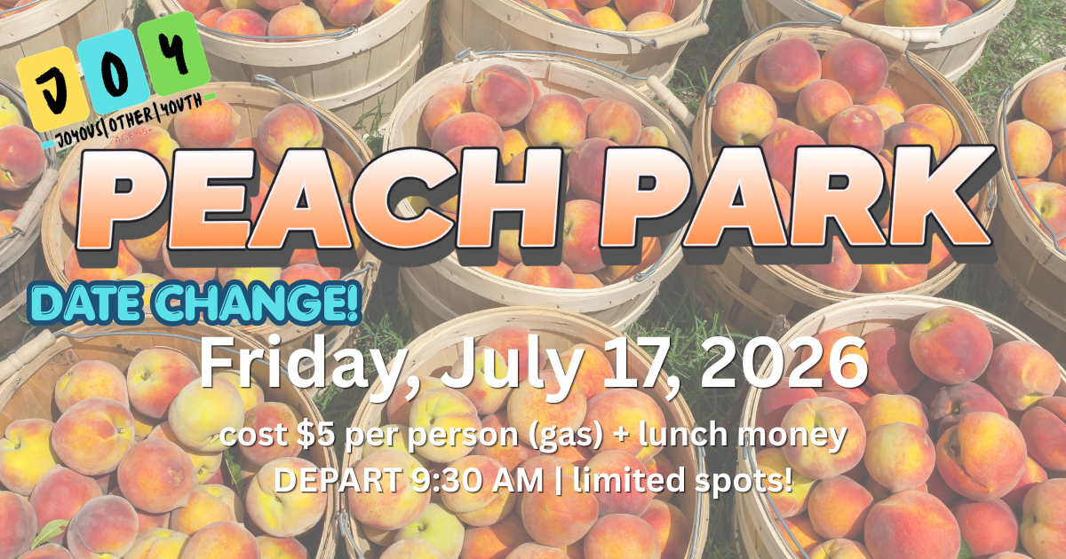 PEACH PARK (3) image