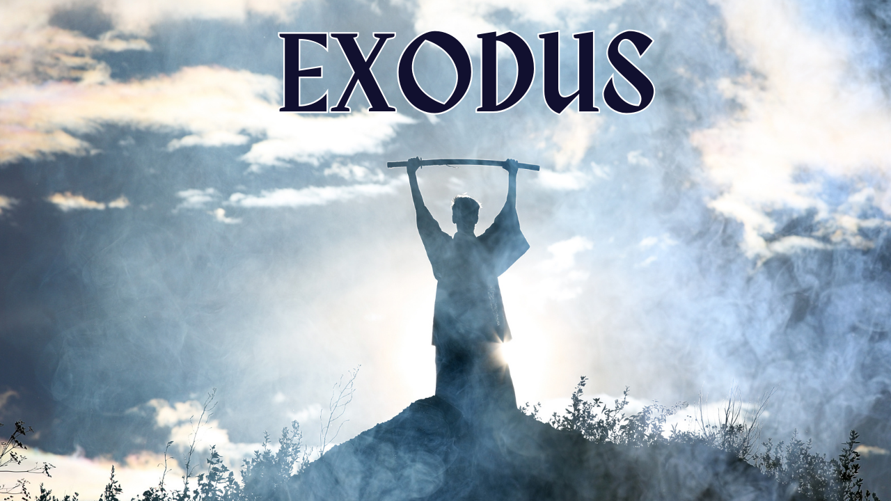 Exodus banner