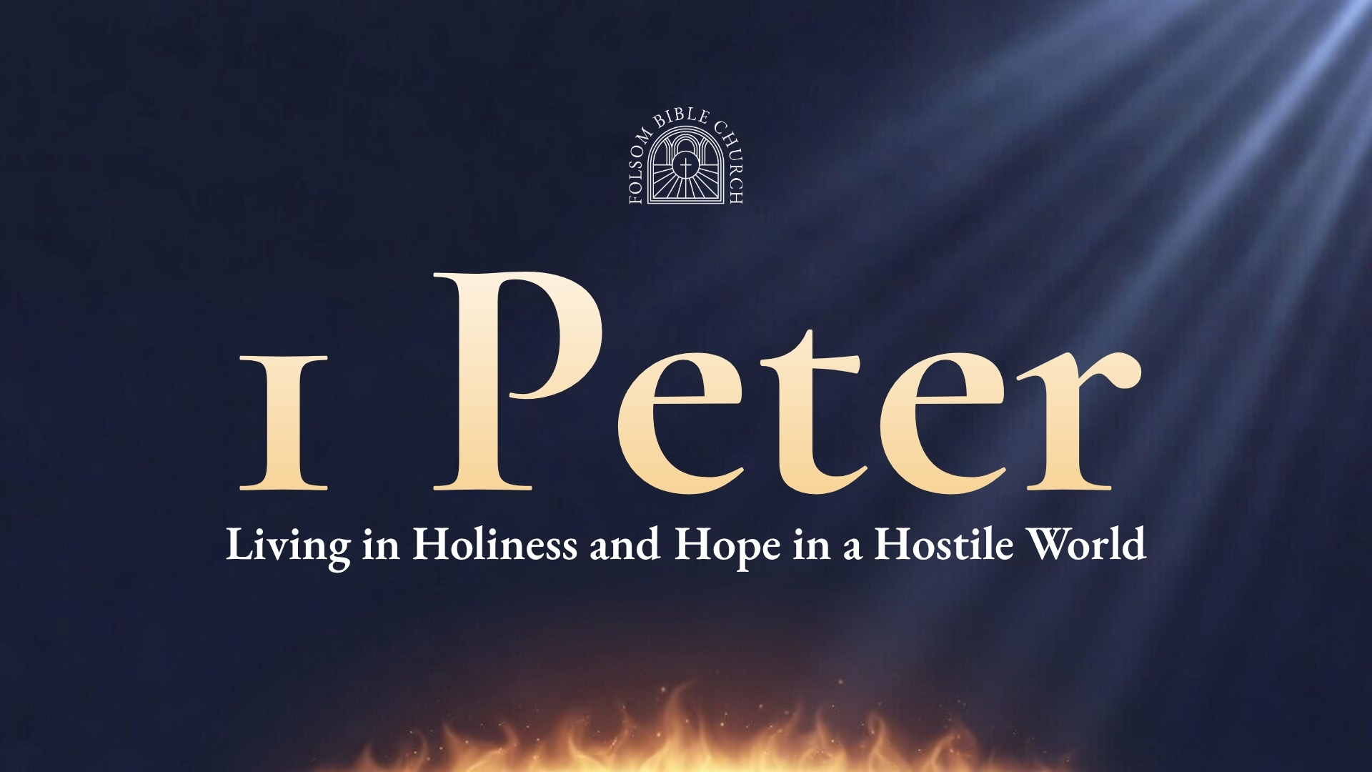1 Peter: Living in Holiness and Hope in a Hostile World banner