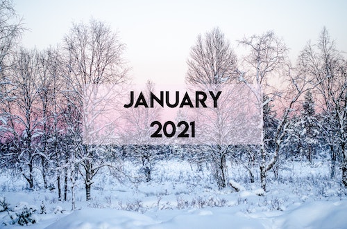 2021.01 christiaan-huynen-tHqzozeSbtQ-unsplash