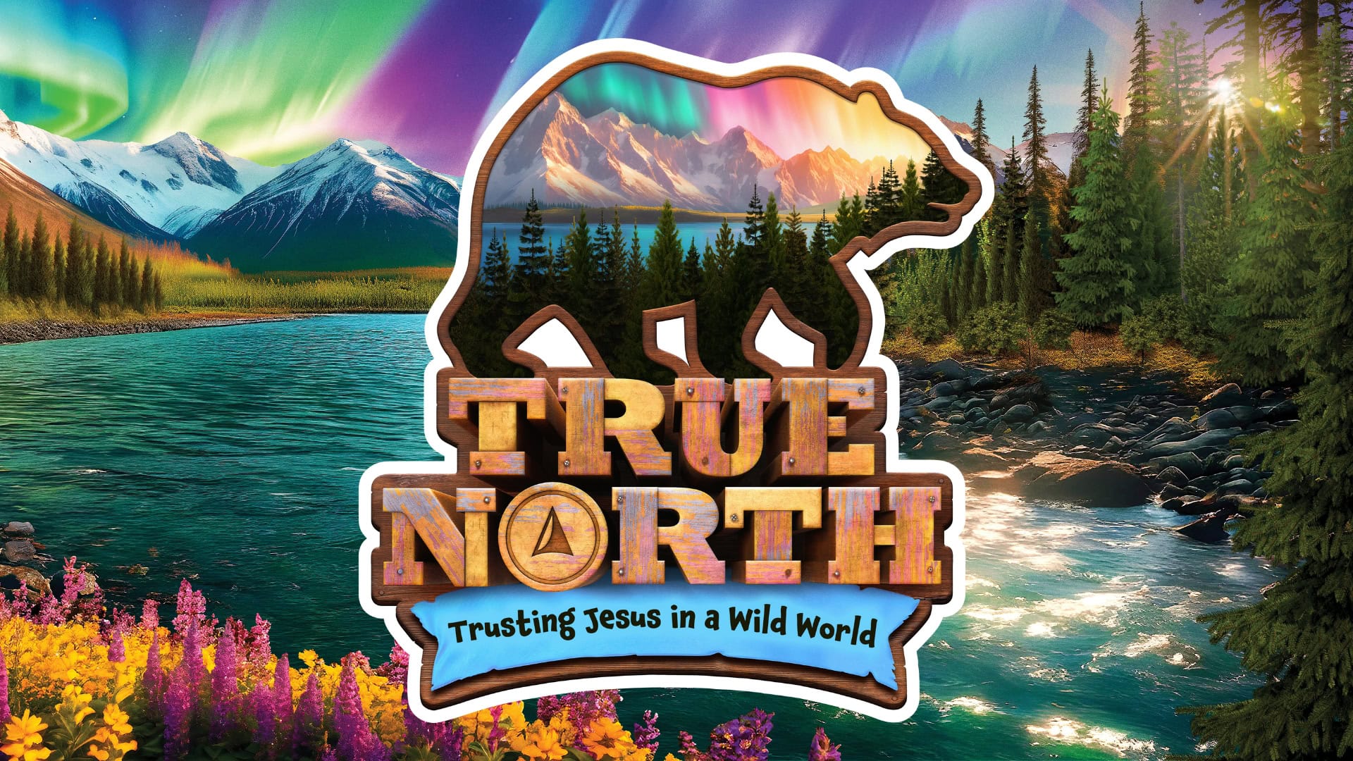 true north VBS 2025