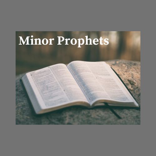The Minor Prophets banner
