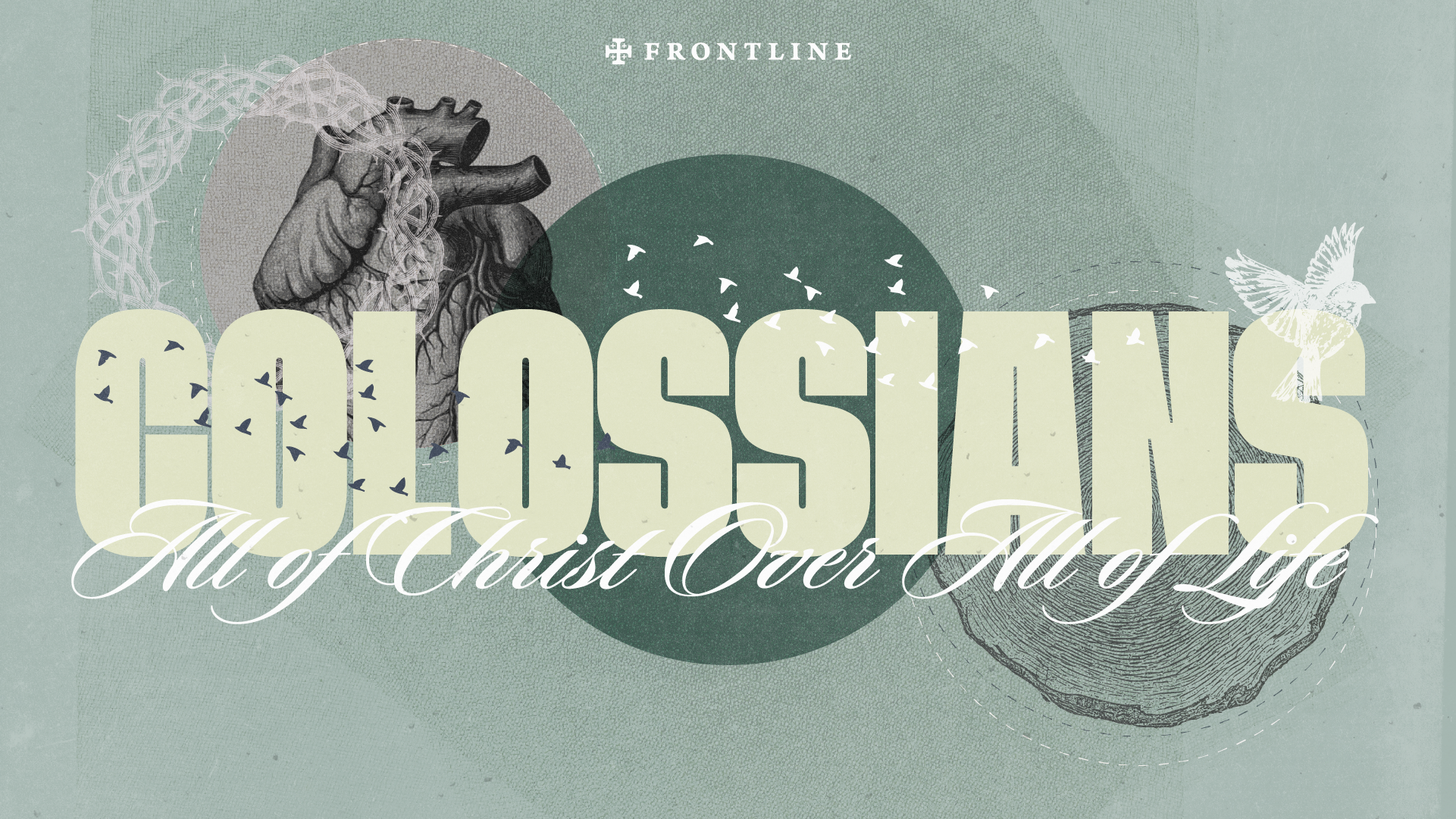 Colossians
