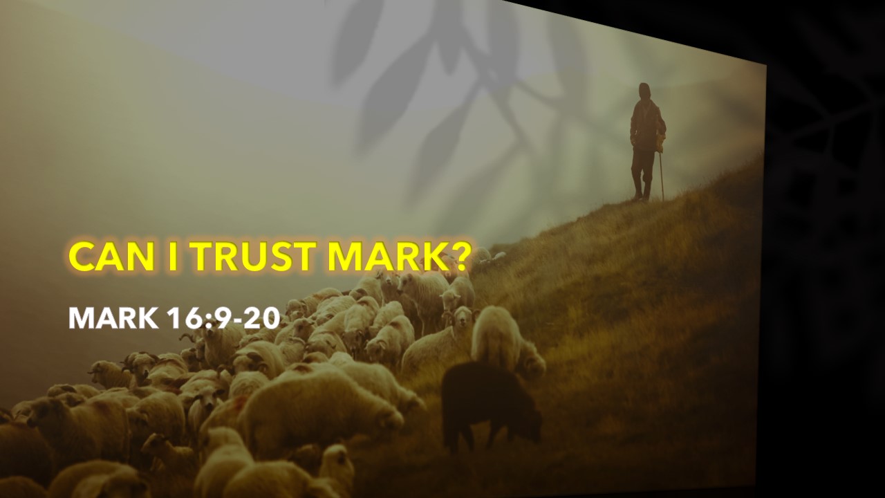 can i trust mark