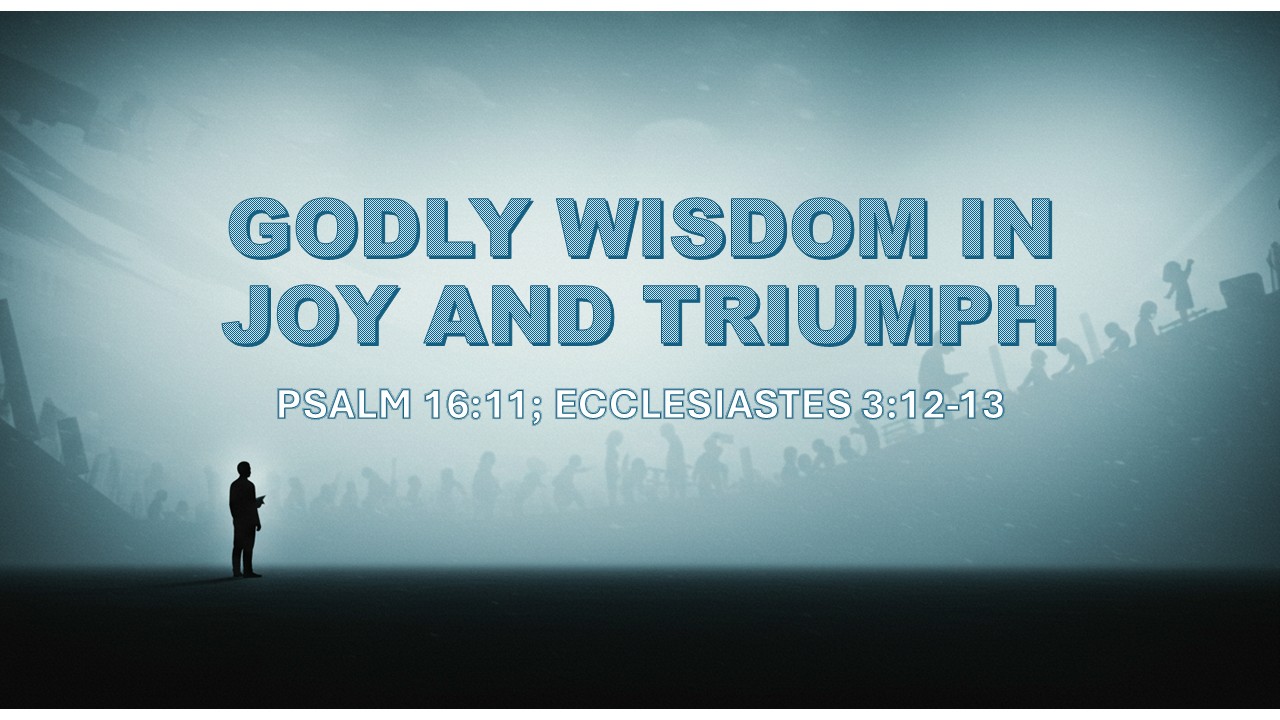 Godly wisdom in joy