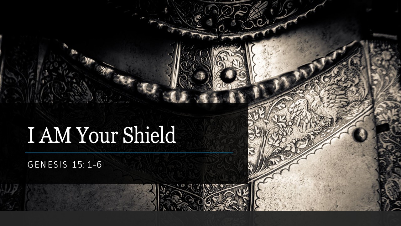 i am your shield