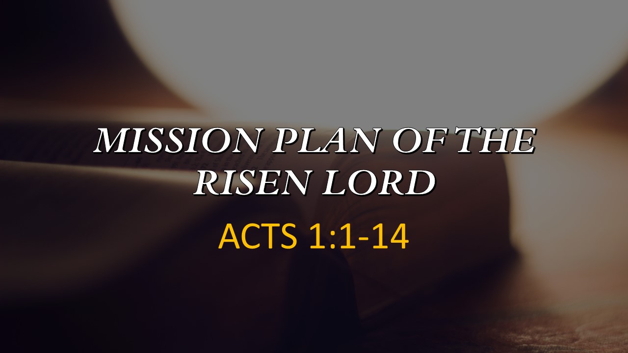 mission plan of the risen Lord