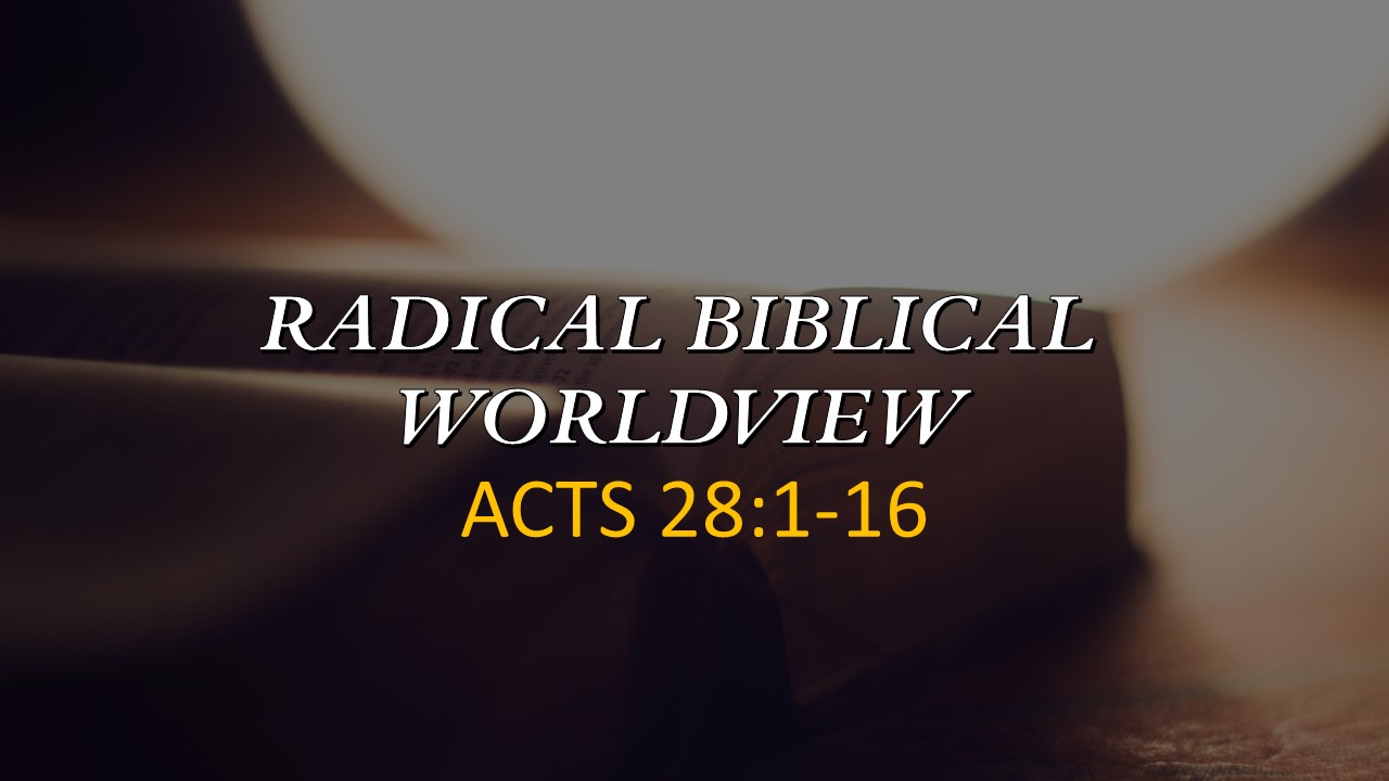 radical biblical worldview