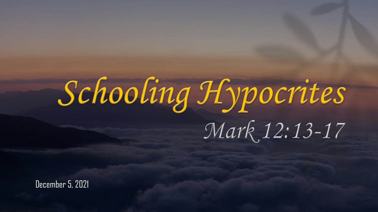 schooling hypocrites