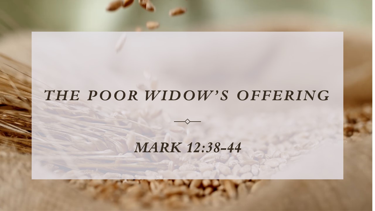 the poor widow's offering