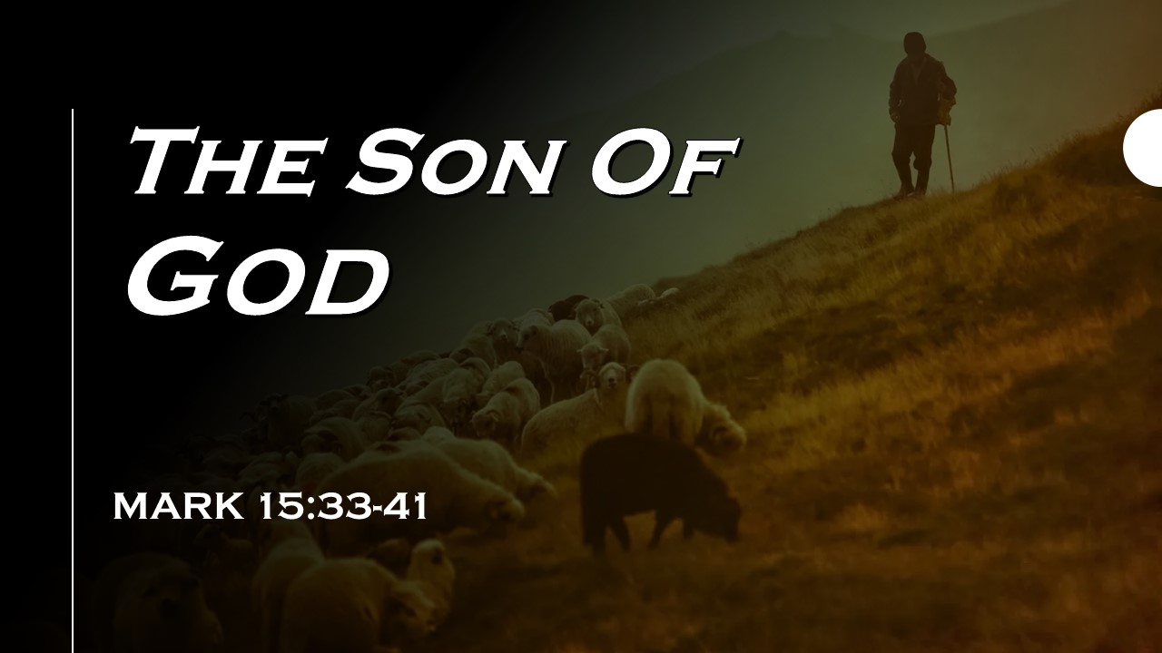 the Son of God