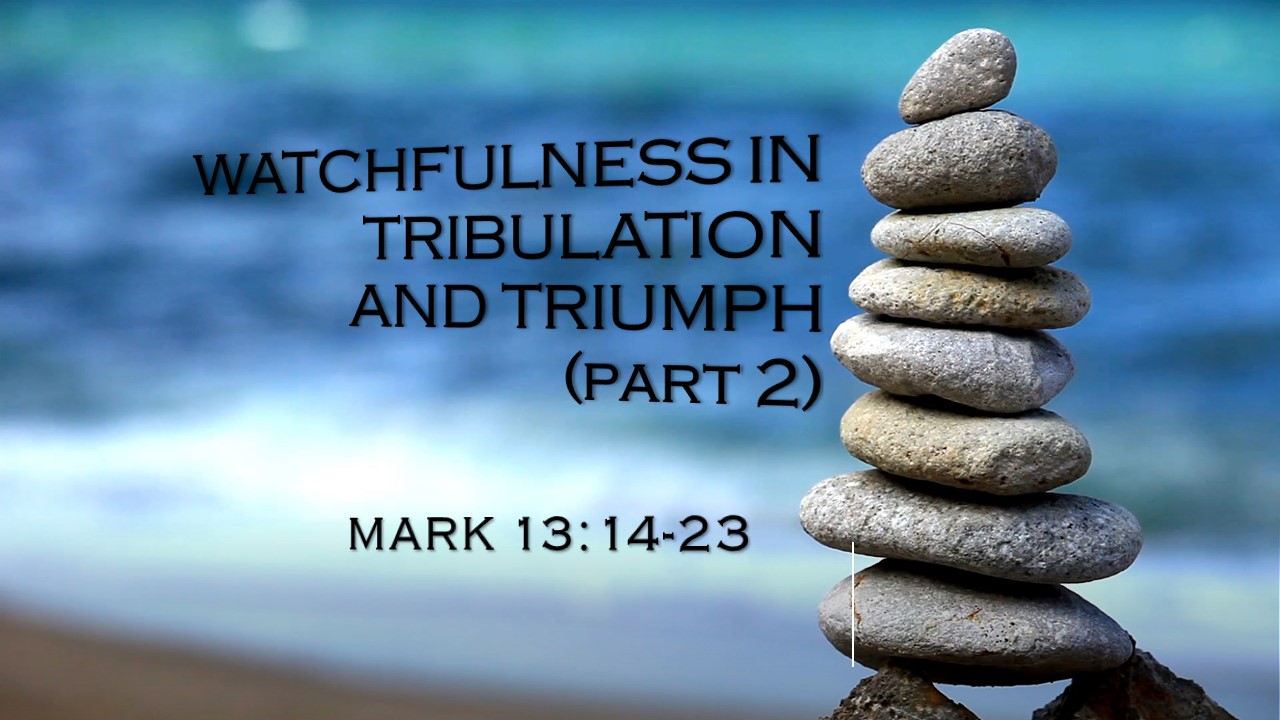 WATCHFULNESS IN TRIBULATION 2
