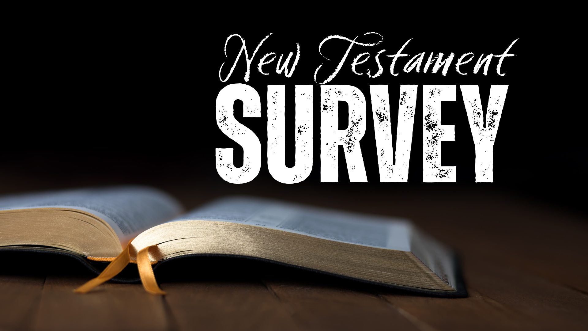 New Testament Survey 2025 banner