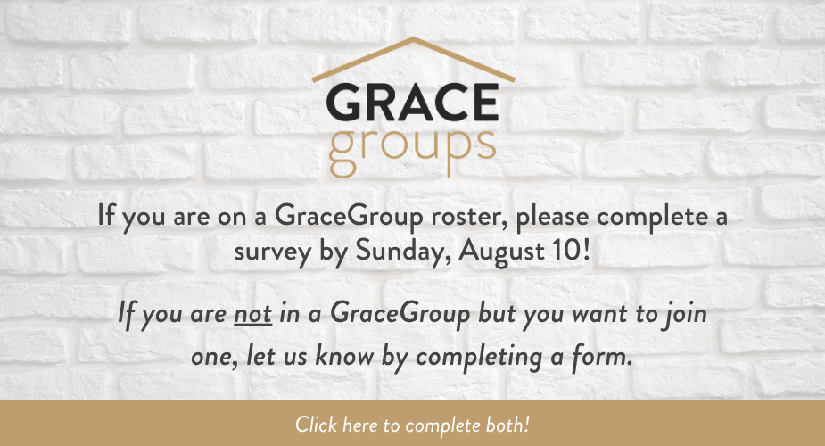 7-17-26 GraceGroup surveys