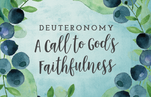 Deuteronomy banner