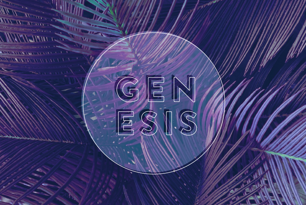 Genesis banner