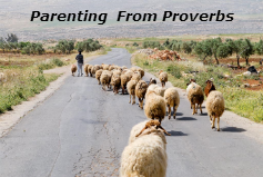 Parenting From Proverbs banner