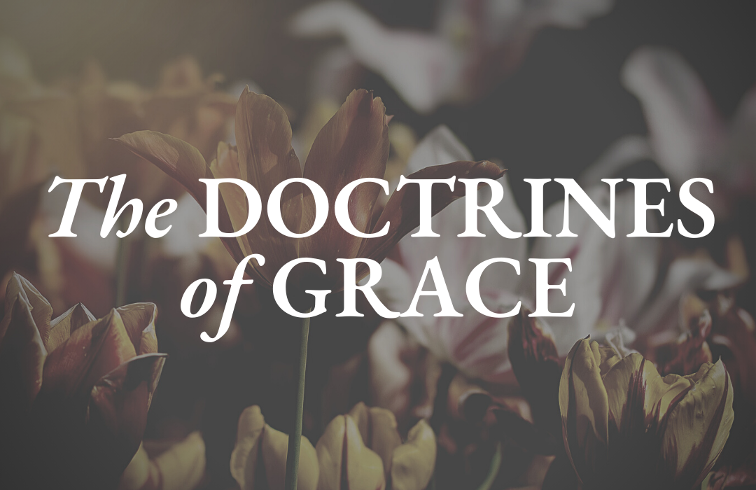 The Doctrines of Grace banner