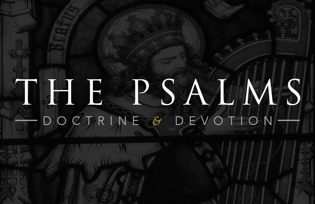 The Psalms: Doctrine and Devotion banner