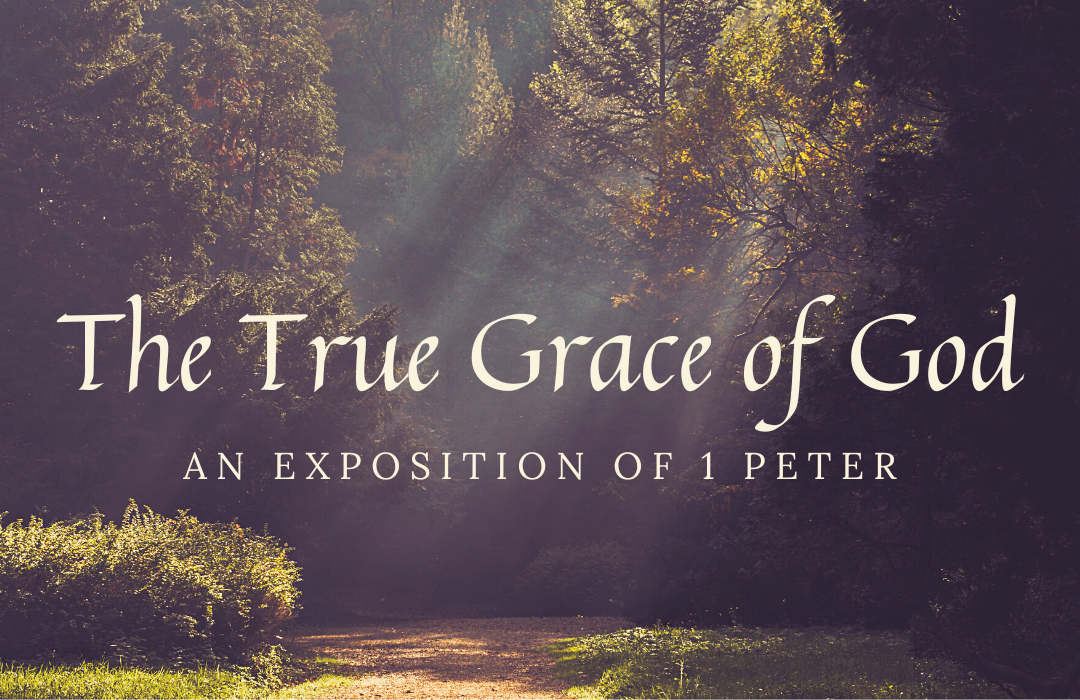 1 Peter: The True Grace of God banner