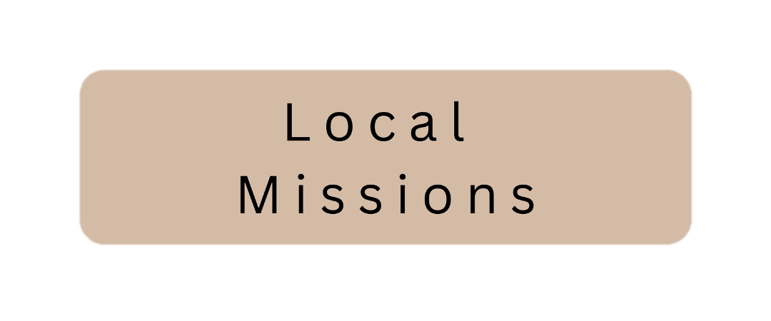 local missions_final