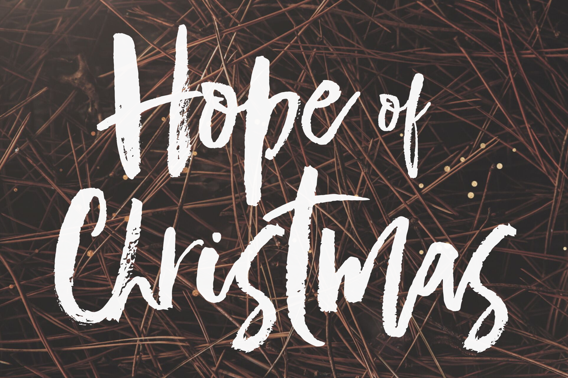 hope of christmas image