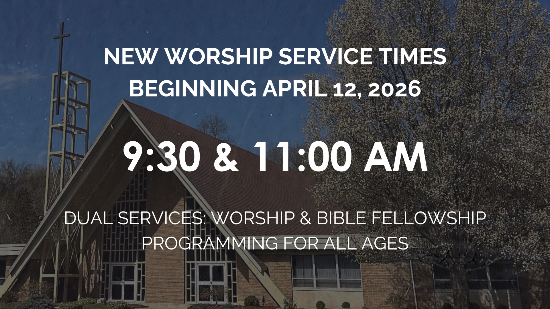 Dual Services for Website Update (3000 x 1662 px) (Presentation) image