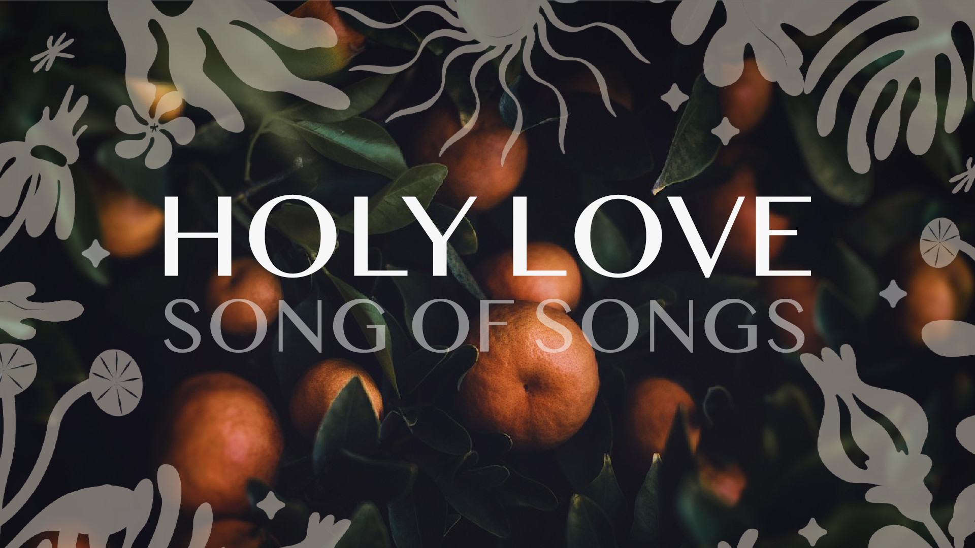 Holy Love - Song of Songs banner