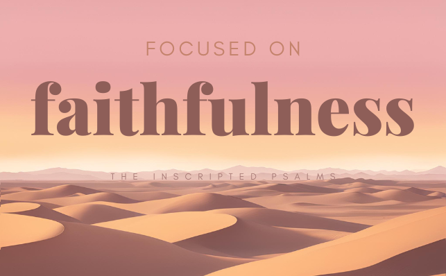 Focused on Faithfulness image