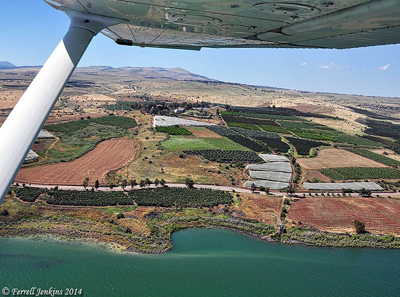 Cove of a Sower - Aerial