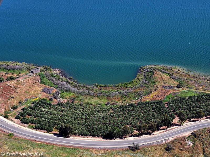 Cove of a Sower