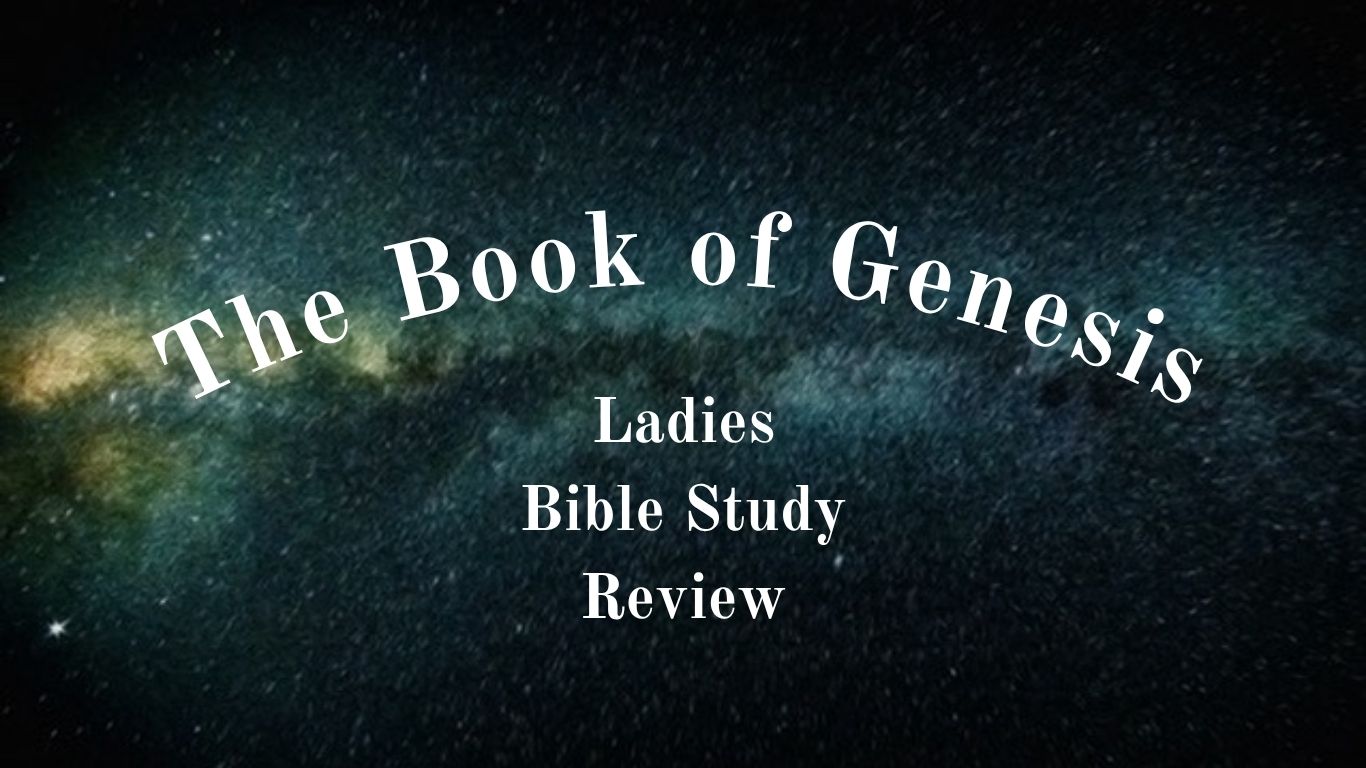 LADIES BIBLE STUDY REVIEW image