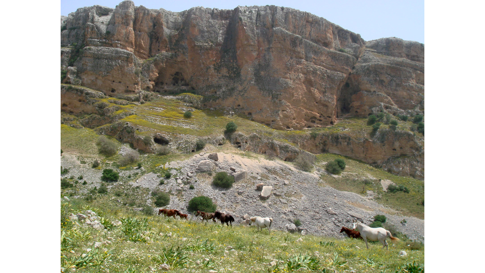 Terrain - Highland Plateaus of Upper Galilee